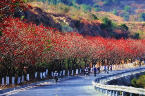 攀枝花大黑山的傳說與美食