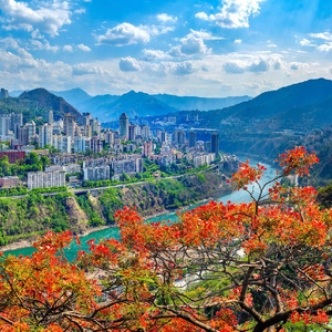 攀枝花市被列為四川省歷史文化名城