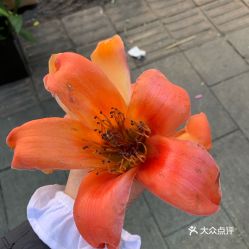 電話,地址,價格,營業時間 攀枝花生活服務