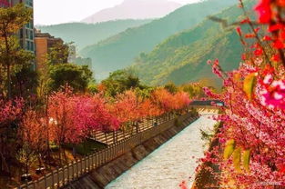 全國進入棉褲時代 但在攀枝花居然還能穿 短 袖