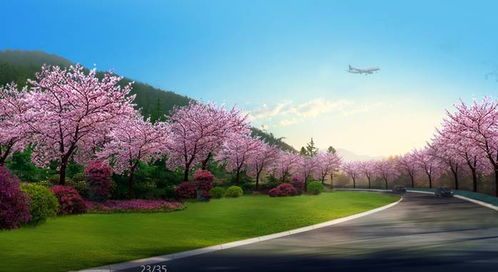 震撼 攀枝花這些地方即將大變樣,漂亮得你認(rèn)不出來