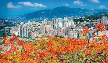 2018成都出發(fā) 攀枝花——四川的四季風(fēng)情畫卷