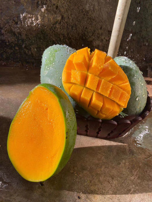 攀枝花凱特芒 大臉芒來襲，香甜多汁等你搶