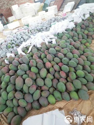 預(yù)售實惠 攀枝花凱特芒10斤裝僅35元，7月12日發(fā)貨